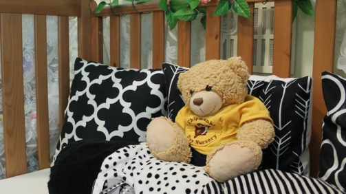 Chipmunks-teddy-01